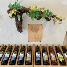 Wine shop - vinotéka